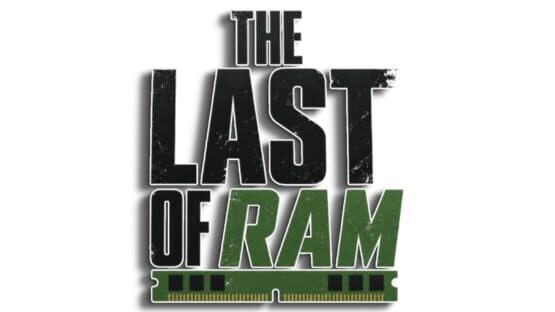 The Last of RAM official artwork 3