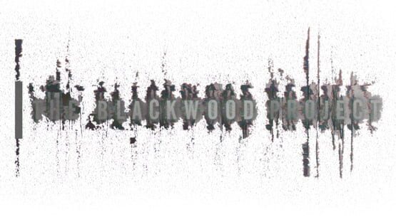 The Blackwood Project gameplay screenshot