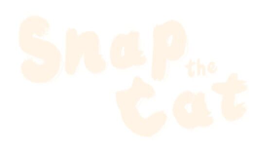 Snap the Cat official artwork 2