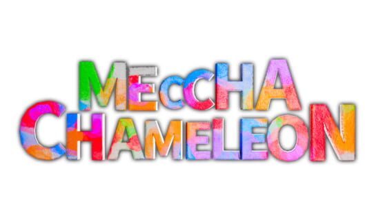 Meccha Chameleon Artwork 3