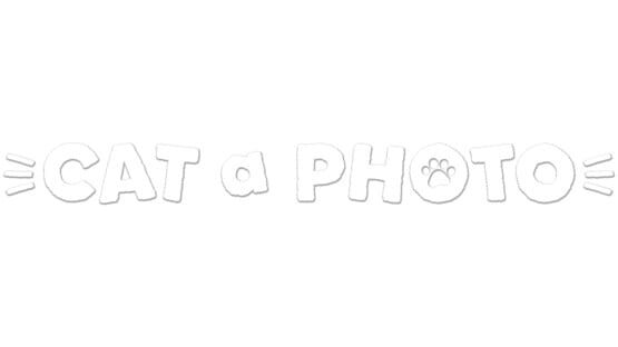 Cat a Photo official artwork 2