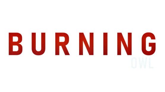 The Burning Owl official artwork 2