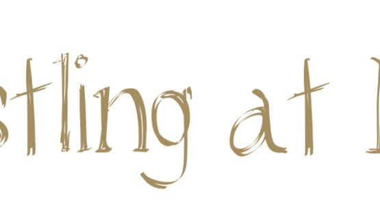Whistling at Night official artwork 3