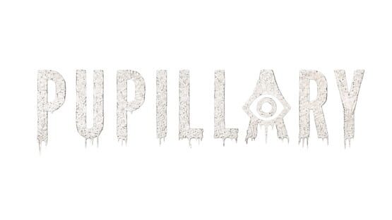 Pupillary official artwork 2