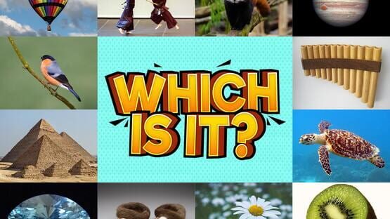 Which Is It? gameplay screenshot
