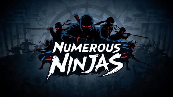 Numerous Ninjas — 1