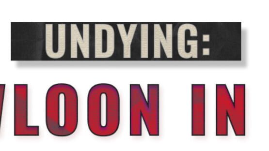Undying: Kowloon in Red official artwork 2