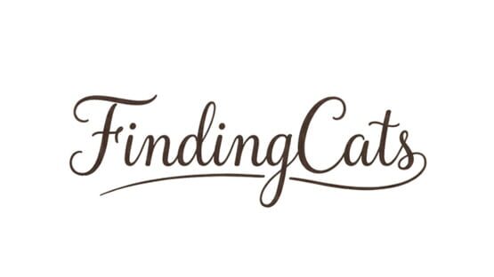 Finding Cats official artwork 3