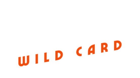Star Wars Outlaws: Wild Card official artwork 4
