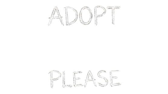 Adopt Me Please official artwork 2