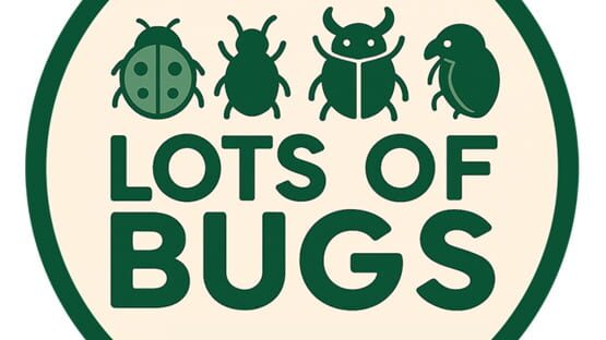 Lots of Bugs gameplay screenshot