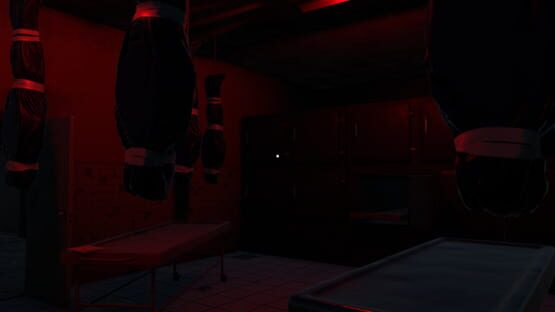 Ravenshade Asylum gameplay screenshot