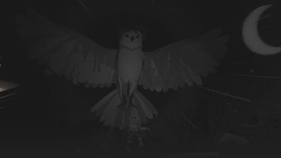 The Bird of the North official artwork 4