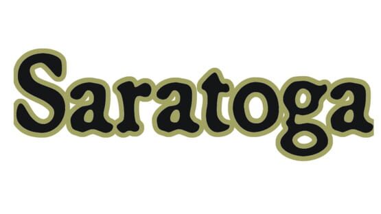 Saratoga gameplay screenshot