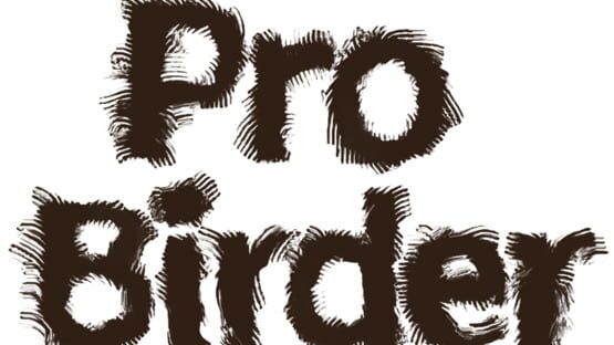 Pro Birder official artwork 2