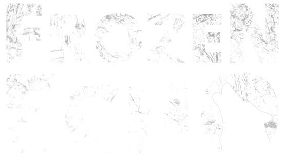 Frozen Echo official artwork 2