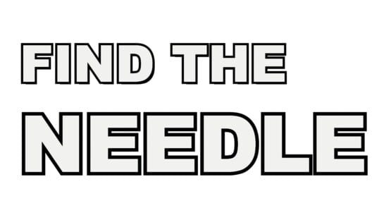 Find The Needle official artwork 2