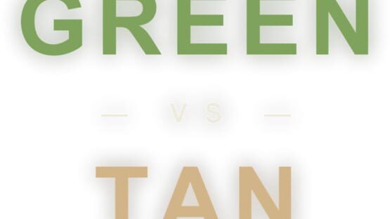 Green vs Tan official artwork 2