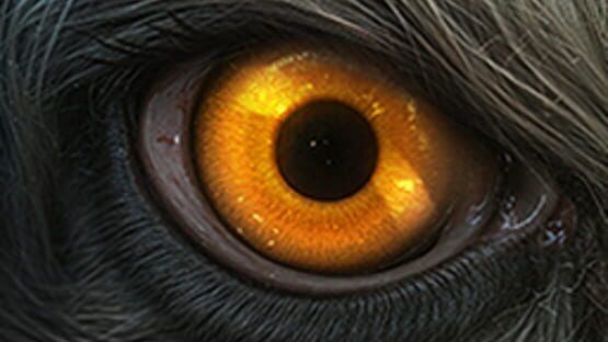 Legendary Tales V: Price of Power - Collector's Edition screenshot 1