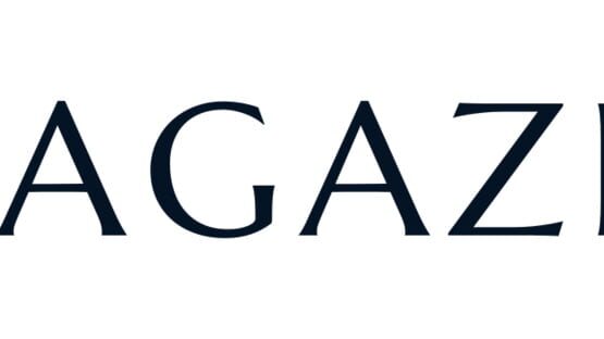 Seagazer official artwork 2