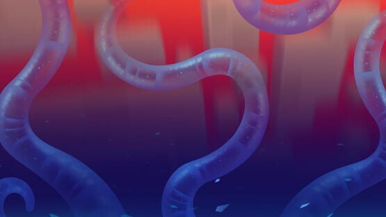 Chiasmus screenshot 1