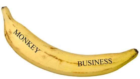 Monkey Business official artwork 2