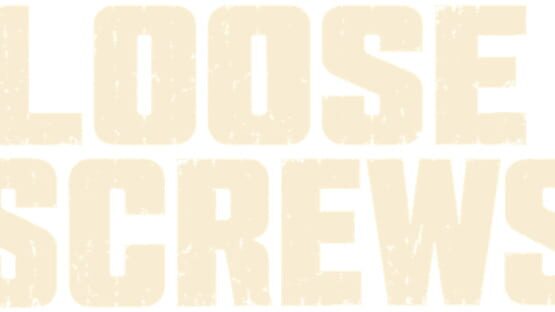 Loose Screws gameplay screenshot