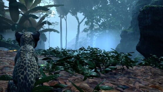 Kito: Lost Trail official artwork 2