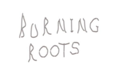 Burning Roots gameplay screenshot