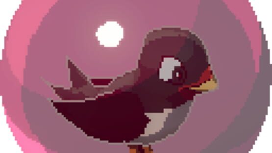 Bird Roll 64 gameplay screenshot