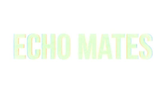 Echo Mates gameplay screenshot