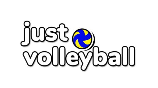 Just Volleyball official artwork 2