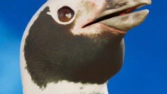 My Penguin Friend official artwork 2