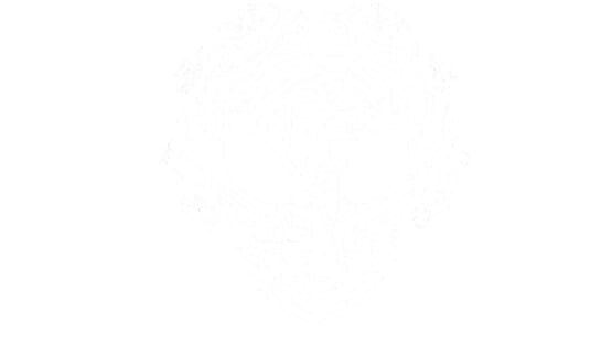 Kirr official artwork 3