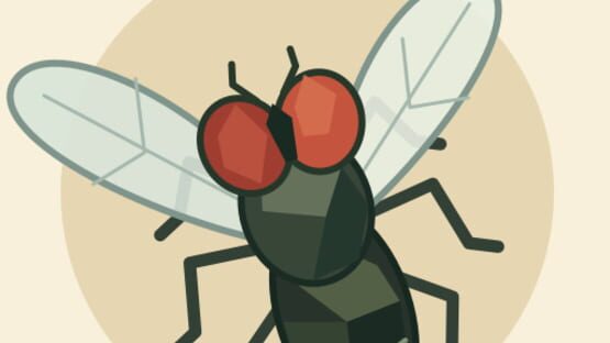 Just One More Fly official artwork 2