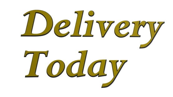 Delivery Today official artwork 1