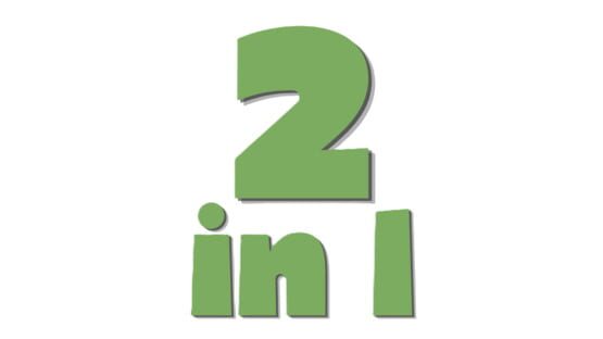 2in1 official artwork 1