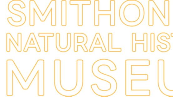 Smithonion Natural History Museum gameplay screenshot