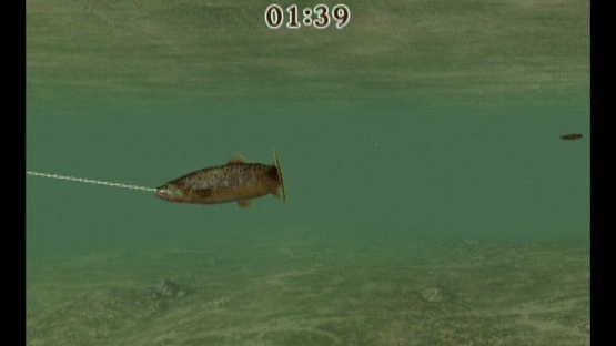 Reel Fishing Challenge Screenshot