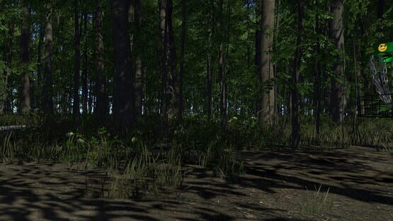 Disc Golf Adventure 2 VR backdrop