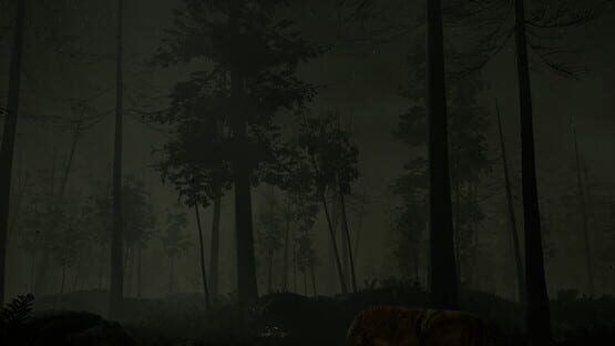 Veneficium gameplay screenshot