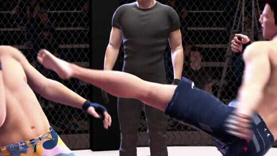 Ultimate MMA backdrop