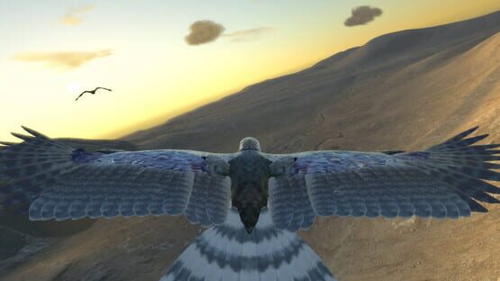 Aquila Bird Flight Simulator gameplay screenshot