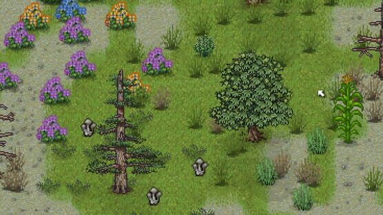 Green Project backdrop