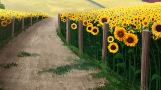 Sunflower official artwork 1