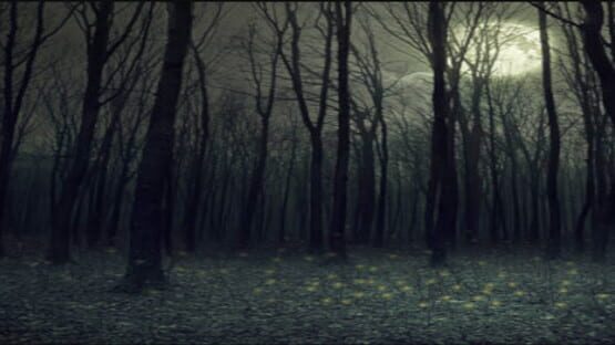 The Witch's Maze gameplay screenshot