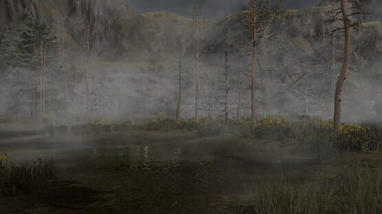 The Valley official artwork 1