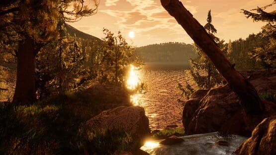 Reaching for Petals: VR Edition gameplay screenshot