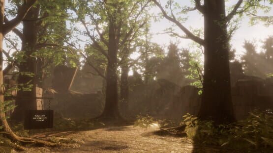 Hollow Steps backdrop