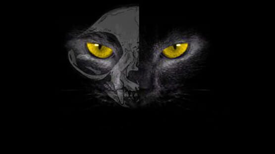 Black Cat gameplay screenshot